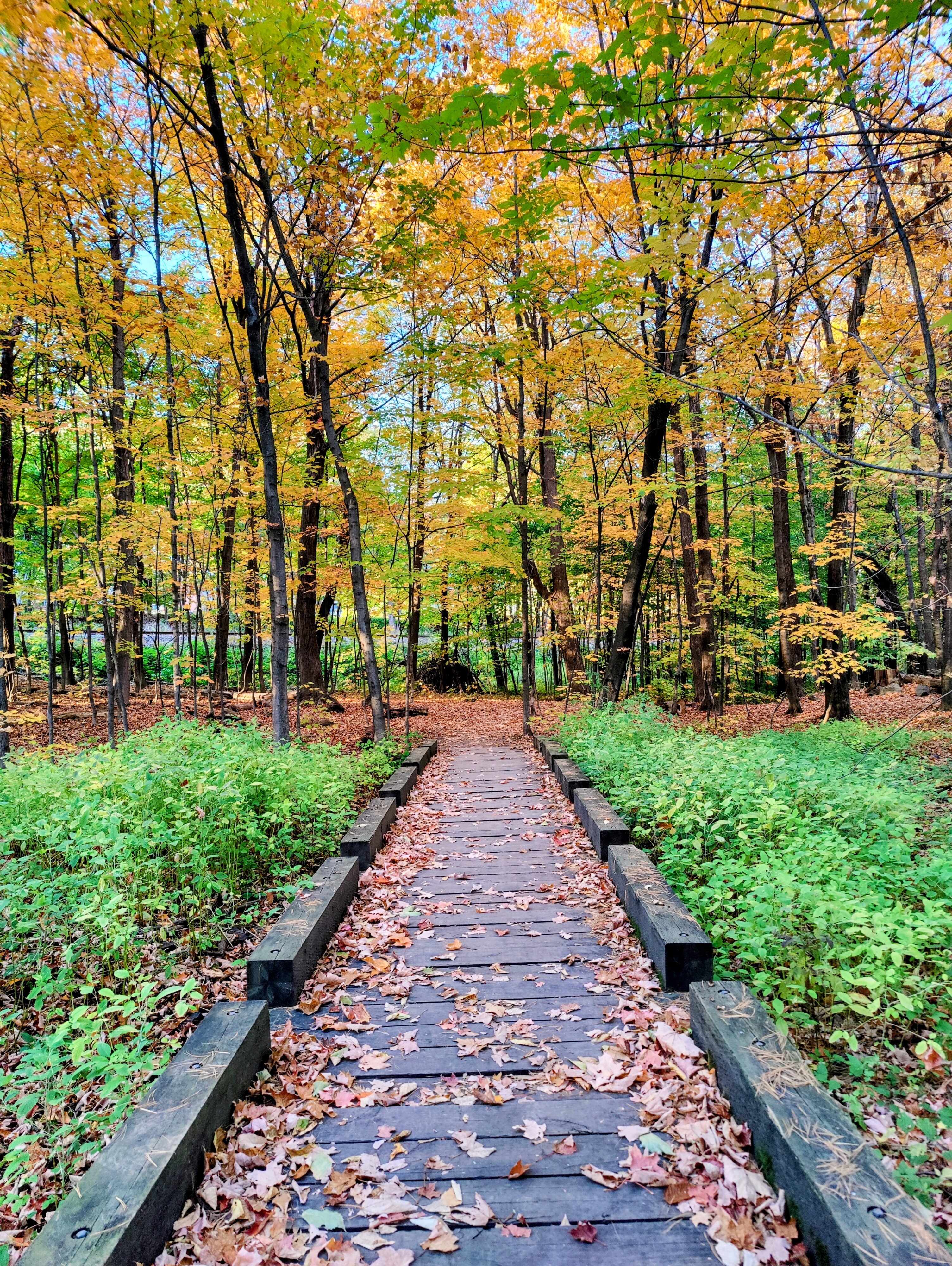 Photo de profil de Anne-Catherine Palud